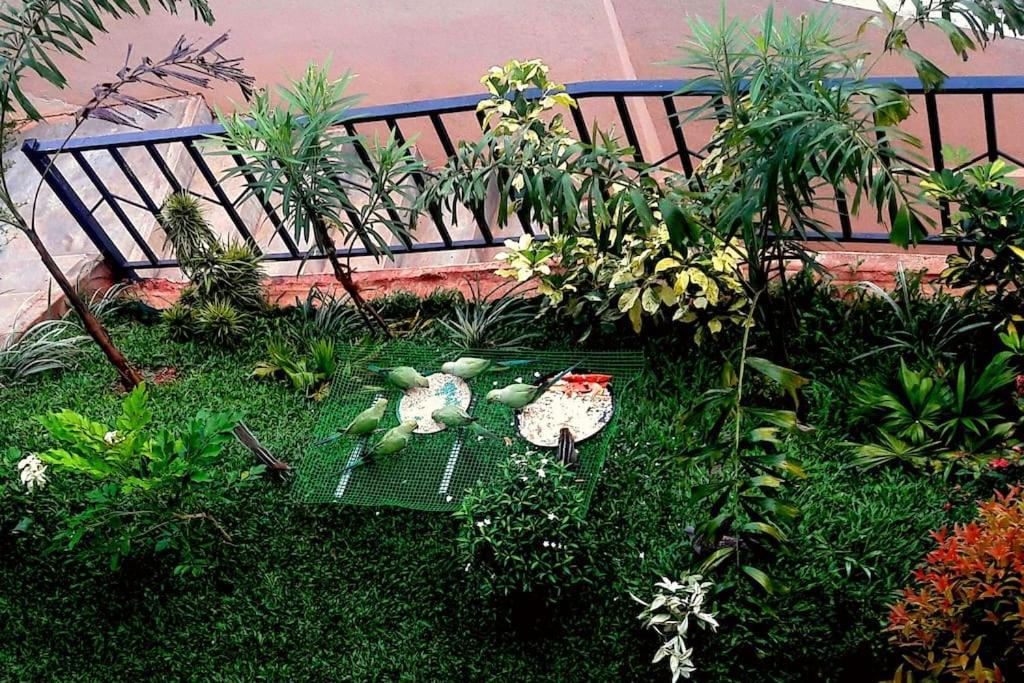 Saru Holiday Apartment - Upto 6 Guests Канді Екстер'єр фото
